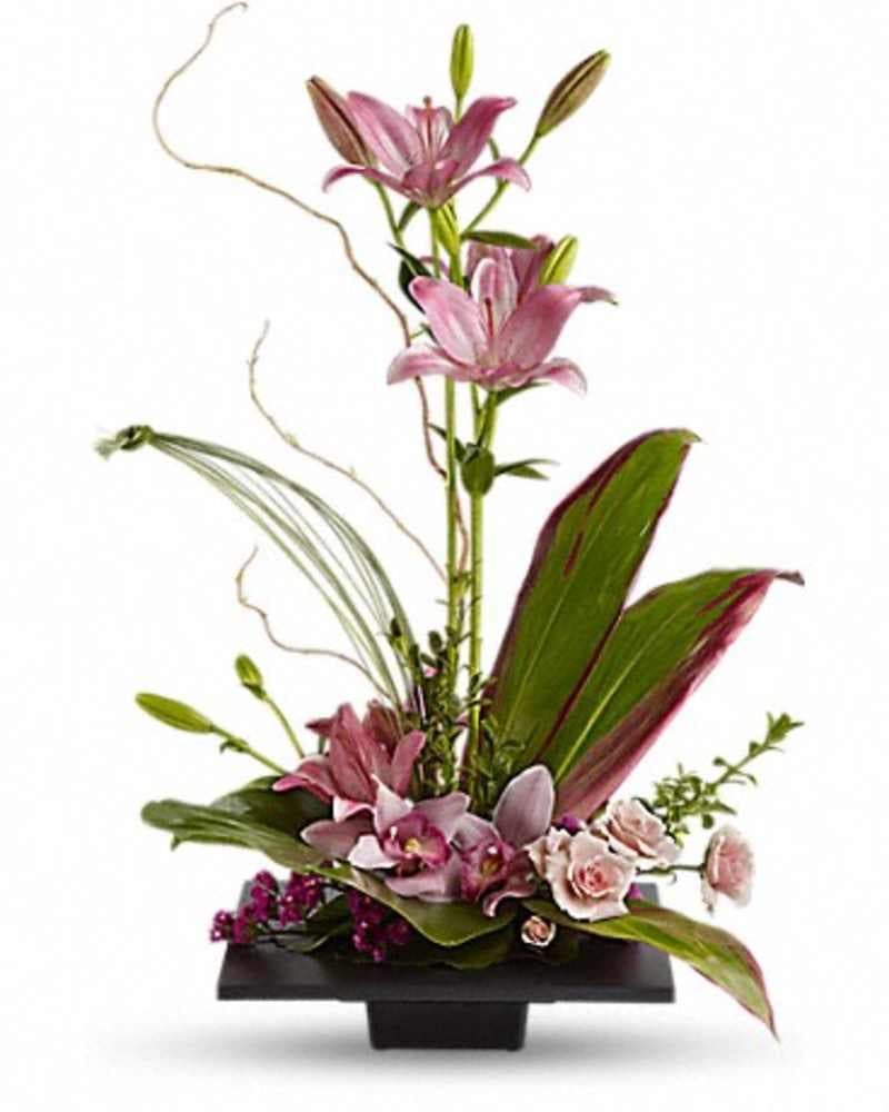 IMAGINATION BLOOMS WITH CYMBIDIUM ORCHIDS