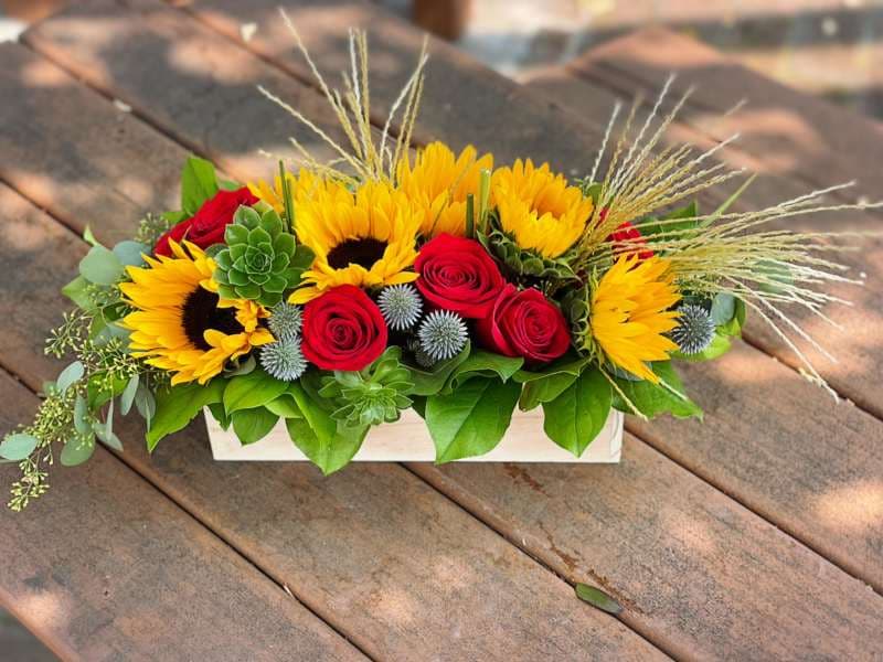 Urban (Sunflowers)