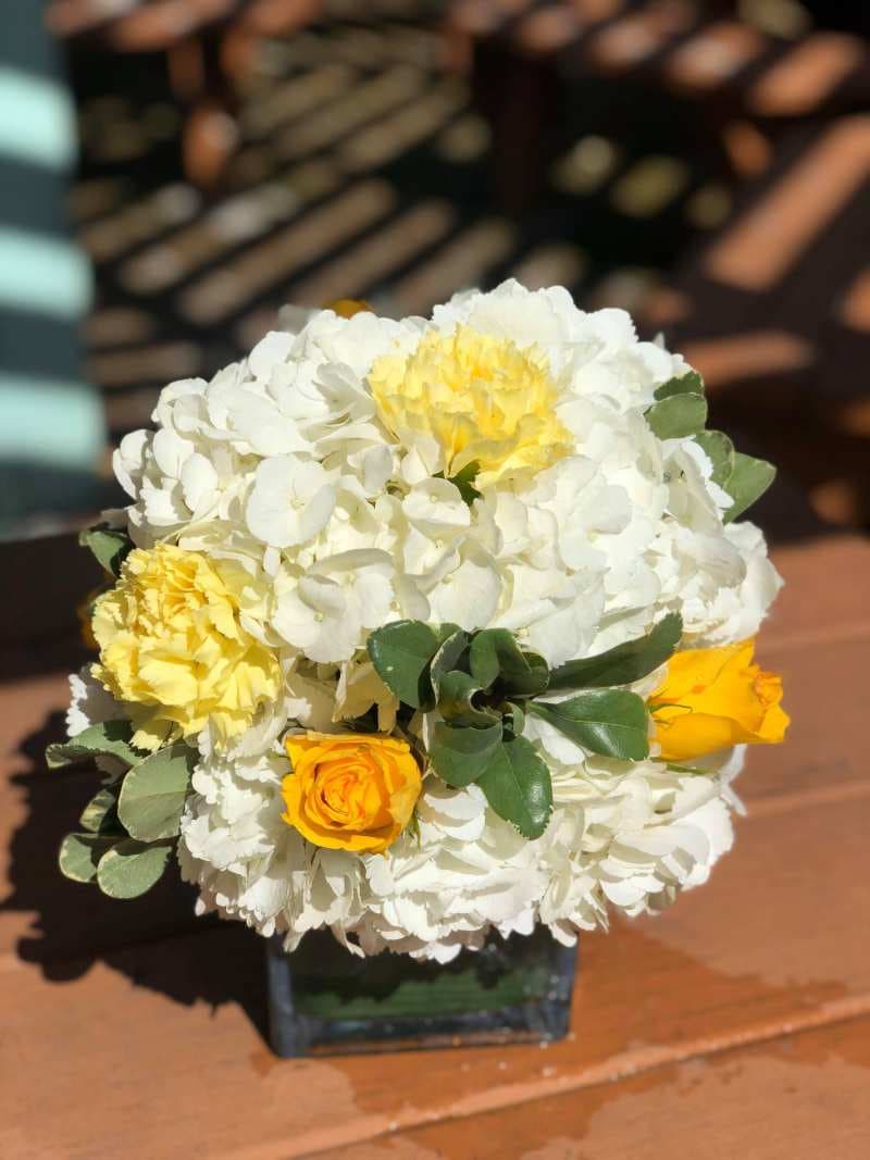 Touch of Yellow