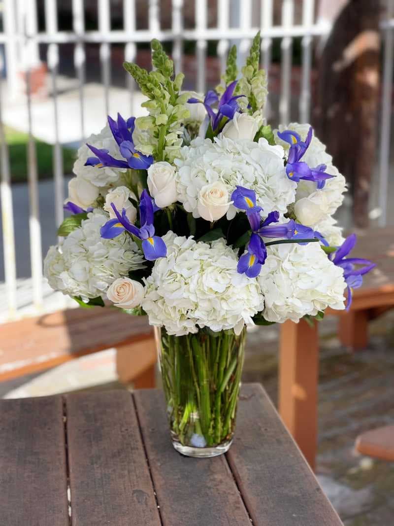 Blue Iries